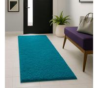 PHP Shaggy Runner Rugs for Indoor - Super Soft Fluffy Thick Pile Non-Shedding Large Runners Rug for Hallways Bedroom Living Room Kitchen Carpet Mats (Teal, 80cm x 150cm (2ft 8" x 5ft)