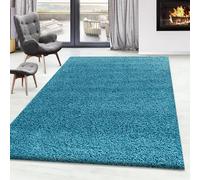 PHP Super Soft FLUFFY Shaggy Rug Non Slip Large Shaggy Rugs Hallway Runner Rug Bedroom Living Room Carpet Mat (Teal, 120cm x 170cm (4ft x 5ft 8"))
