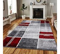PHP Super Soft Rugs for Living Room Bedroom Rug - Thick Dense Pile Non Shed Fluffy Rug For Bedroom - Small Medium Large Carpet Area Rugs Kitchen Floor Mat (120 x 170 cm (4ft x 5ft 8"), Red)