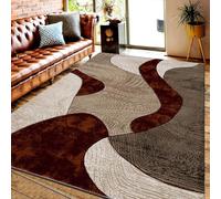 PHP Velvet Curve Area Rugs - Contemporary Abstract Design Super Soft Dense Thick Pile Shaggy Rug for Bedroom Living Room Dining Area Carpet Mat (160 x 230 cm, Rust)