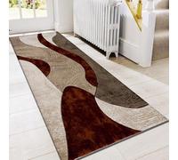 PHP Velvet Curve Runner Rugs - Contemporary Abstract Design Super Soft Dense Thick Pile Shaggy Runners Rug for Hallways Hall Dining Room (80 x 150 cm, Rust)