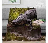 PHQAZWSXE 3D Printed Alligator in swamp Couch Blanket Microfiber Soft Warm Bedding Cosy Wild nature scene All Season Blanket Machine Washable No Shedding for Men Women Couples 50x60inch(127x152cm)