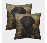 PHQAZWSXE Labrador Retriever Pillow Cases Pack of 2 Cozy Pillowcase Animal Cushion Covers Zippered Decorative Couch Living Room 40x40cm