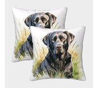 PHQAZWSXE Labrador Retriever Pillow Cases Set of 2 Cozy Pillowcases Animal Cushion Cover Zippered Decorative for Sofa Living Room Bed Home 40x40cm