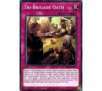 PHRA-EN071 Tri-Brigade Oath