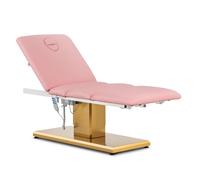 physa Electric Beauty Bed - 3 motors - 300 W - 190 x 65 x 60 - 76 cm - 200 kg - pink/gold PHYSA VITERBO POWDER PINK