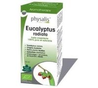 Physalis Eucalyptus Radiata Essence 10 ml