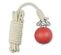 PhysCool PHYSKOW Rubber Meteor Hammer for Beginners Exercise Ball Chinese Kungfu Traditional Martial Arts Soft Equipment (Rubber Meteor Hammer)
