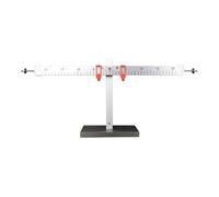 Physics Experiment,Leverage Ruler With Bracket Balance Scale