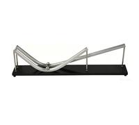 Physics Inertia Demonstrator, Inertia & Centripetal Force Demonstrator with Steel Balls, Dual-Track Design, Professional Classroom Apparatus for Science Education
