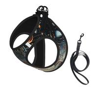 Physics Print Print Small Dog Harness with Leash Set, No Escape Easy Walk Puppy Harnesses for Training Walking