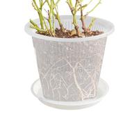 Phytress Orchid Pot | Cacti Containers With Holes And Saucer - Home Accessories, Transparent Plant Containers for Home Kitchen Living Room Balcony