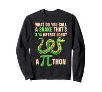 Pi Day Python Snake Math Teacher Mathematics Lover Sweatshirt