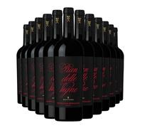 Pian delle Vigne 14.5% ABV Brunello di Montalcino, Antinori | Intense, Smooth Medium-Bodied Red | 12 x 75cl Bottles