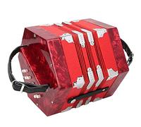Piano Accordion 30 Key, Professional 30 Buttons Accordion Concertina Musical Instrument With Carrying Bag, Excellent Gift For Children And Friends