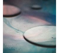 Piano Interrupted - The Unified Field