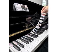 Piano Key Labels, Piano Note Stickers Removable for 88/76/61/54/49/37 Keyboard Reusable Silicone Strips Multi-Color Large Bold Letter for Beginners Kids (Colourful)