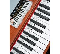 Piano Key Labels, Removable Piano Keyboard Note Strips for Beginners, Made of Silicone Rubber for 88-Key Standard Size Keyboard, Sharp Flat Staff Paper for Black Keys, Elegant Package (Staff Boards)