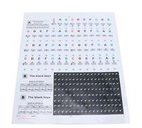 Piano Keyboard Stickers Transparent - Colourful Scale Staff Decals for Piano, Synthesizer, 24.5x22.5cm - Easy Removable, Reusable Learning Aid for Beginners & Children