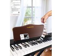 Piano Notes Guide for Beginner, Removable Piano Keyboard Note Labels for Learning, 61-Key standard full-size, Made of Silicone Rubber, No Need Stickers, Reusable and Comes with Box(Colored-N)