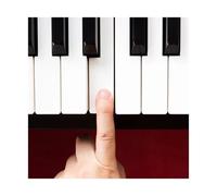 Piano Replacement Keys 2Pcs White Piano Keytops Material Piano Replacing Key Tops Long Service Life Repairing Gadgets For Keyboard Instrument