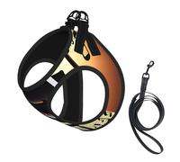Piano Violin and Music Notes printing Puppy Harness, Dog Harness and Leash Set, Soft Mesh Reflective Breathable Lightweight Vest-Style