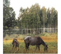 Pianos Become The Teeth - Old Pride [VINYL]