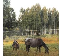 Pianos Become The Teeth - Old Pride Ltd. - Colored Vinyl