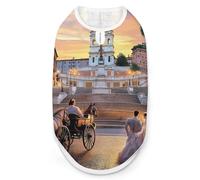 Piazza Di Spagna Funny Dog Vest Shirt Soft Comfortable Tank Top Cute Clothes for Cat Puppy