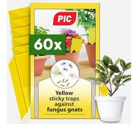 PIC Fungus Gnat Sticky Traps - 60x Effective Yellow Sticky Traps Fungus Gnats, Sticky fly Traps Indoor Plant against Fungus Gnats and Small Flies in Potting Soil, Plant fly stickers, up to 6 months