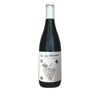 Pic Saint Loup 2021 - Clos des Reboussiers