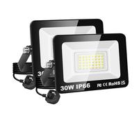 PICAA 30W LED Flood Light, IP66 Waterproof Super Bright 3000LM Security Light, 6500K Cold White Outdoor Wall Light for Garden Yard Garage Patio Warehouse with UK Plug (2PCS)