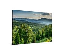 PICANOVA - Canvas Print 120x80 cm - Canvas Art Print Wall Art - Wall Decor Picture Stretched on Wooden Frame - Sunset in Cedar Forest Forest Collection