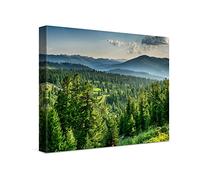 PICANOVA - Canvas Print 40x30 cm - Canvas Art Print Wall Art - Wall Decor Picture Stretched on Wooden Frame - Sunset in Cedar Forest Forest Collection