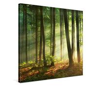 PICANOVA - Canvas Print 80x80 cm - Canvas Art Print Wall Art - Wall Decor Picture Stretched on Wooden Frame - Beautiful Morning Sunrise Forest Collection