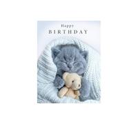 Piccadilly Greetings Birthday Card Cute Cat and Teddy - 8 x 6 inches
