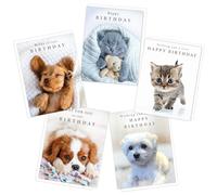 Piccadilly Greetings Cute Puppy and Kitten Birthday Cards Multipack | Pack of 5 assorted Birthday Cards | 19 x 14.5 cm | Includes White Envelopes | Made in UK