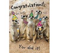 Piccadilly Greetings Humour Occasion Card Congratulations - 8 x 6 inches, beige|brown|yellow|black