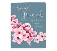 Piccadilly Greetings Luxury Beautiful Contemporary Special Friend Birthday Card - 8 x 6 inches - Koko Designs, K70021,pink|red|blue