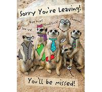 Piccadilly Greetings Modern Large Card Leaving - 12 x 9 inches