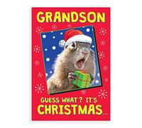 Piccadilly Greetings Regal Publishing Humour Christmas Card Grandson - 9 x 6 inches, C85536