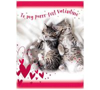 Piccadilly Greetings Valentines Day Card, perfect Valentine, purr-fect, cats - 8 x 6 inches