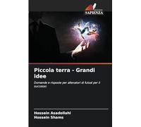 Piccola terra - Grandi idee: Domande e risposte per allenatori di futsal per il successo