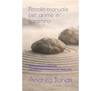 Piccolo manuale per anime in cammino: Ventisette pensieri per attraversare le tempeste della vita