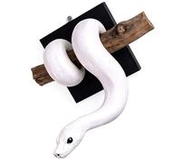 Piceioep Golden Snake Wall Mounted Sculpture Hand Painted Resin Snake Figurine Ornament for Home Decoration and Housewarming Gift Realistic Wall Art