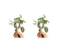 Piceioep Of 2 Realistic Climbing Branch for Reptiles Hermit Crabs Crested Geckoes Habitat Decoration Safe Exercise Landscape Terrariums Decoration