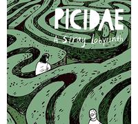 Picidae - A Stray Labyrinth [VINYL]