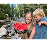 Picking Wild Red Huckleberries in the Forest and Catching Trout at the Creek