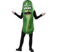 Pickle Rick Rick and Morty Costume
