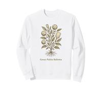 Pickleball Botanical Vintage Science Art Funny Sweatshirt